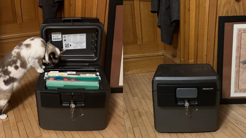 best water and fireproof safes under 100 SentrySafe