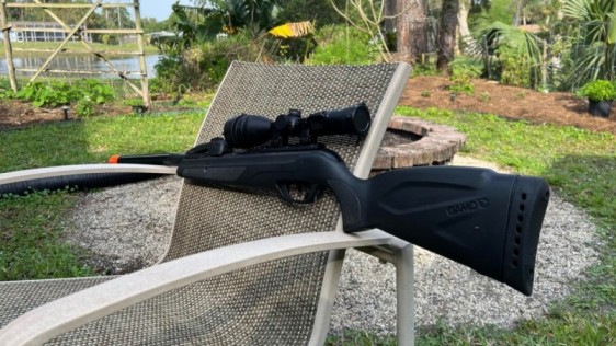 Gamo Sworm Whisper 22 Cal